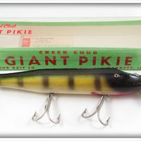 Vintage Creek Chub Perch Giant Pikie Lure In Box 6001