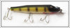Creek Chub Perch Giant Pikie In Box 6001
