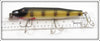 Creek Chub Perch Giant Pikie In Box 6001
