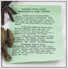 American Rivers Bait Co. Tiger Kansas Minnow In Box
