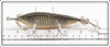 American Rivers Bait Co. Tiger Kansas Minnow In Box