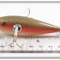 Little Sac Rainbow Dipper Underwater Minnow NFLCC 2010 Club Lure