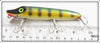 Ed Latiano Perch Vamp Type