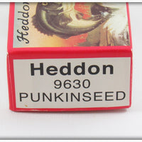 Heddon Rainbow Reissue 9630 Punkinseed Spook In Box