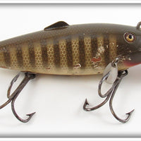 Creek Chub Pikie Scale Fintail Shiner Lure 2100 Special