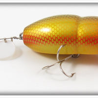 Plastic Image Gold Scale Scarab Lure