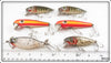 6 Pflueger Mustang, Palomine & Scoop Lures In Dealer Box