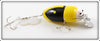 Plastic Image Yellow & Black Scarab In Box