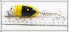 Plastic Image Yellow & Black Scarab In Box