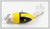 Plastic Image Yellow & Black Scarab In Box