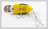 Plastic Image Yellow & Black Scarab In Box