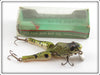 Vintage Paw Paw Green Junior Wotta Frog Lure In Box