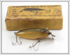 Creek Chub Intro Baby Wiggler In Perch Scale Baby Wiggler Intro Box