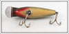 Creek Chub Chub Scale River Scamp 4300