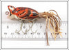 Arbogast Seein's Believin' Sparrow 3/8 Oz Hula Popper In Box