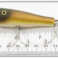 Creek Chub Golden Shiner Simmon's Special In Box 04 Special