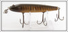 Creek Chub Pikie Scale Intro Pikie