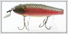 Creek Chub Red Side Fintail Shiner 2105