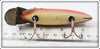 Creek Chub Red Side Fintail Shiner 2105