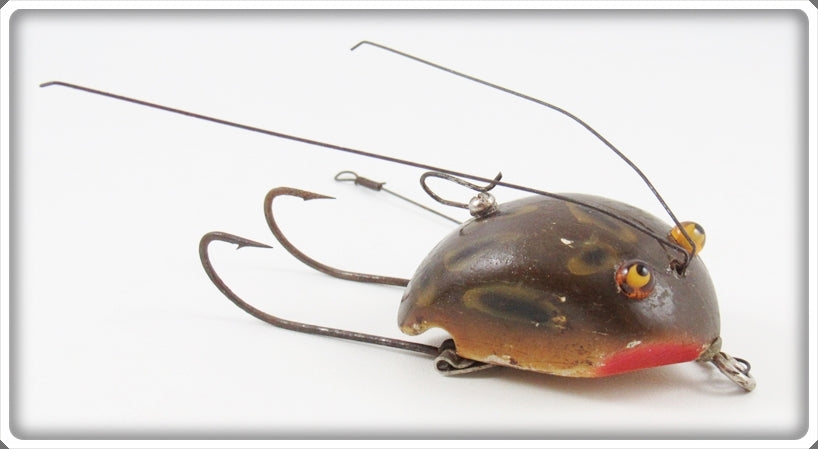 Vintage Creek Chub Frog Weed Bug Lure 2819