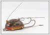 Creek Chub Frog Weed Bug 2819