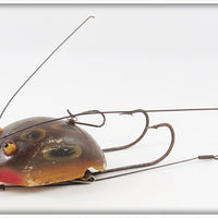 Creek Chub Frog Weed Bug 2819