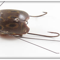 Creek Chub Frog Weed Bug 2819