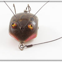 Creek Chub Frog Weed Bug 2819