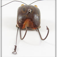 Creek Chub Frog Weed Bug 2819