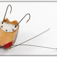 Creek Chub Frog Weed Bug 2819