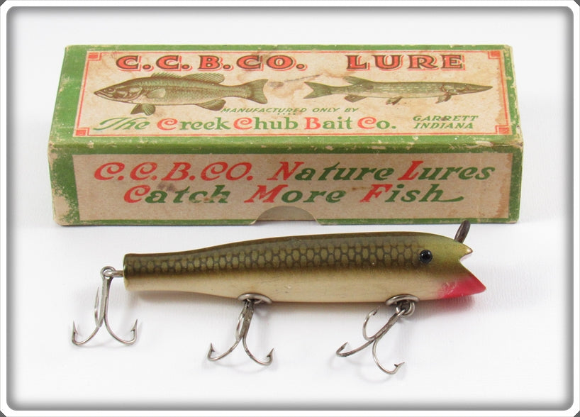 Creek Chub Greenback Darter With Factory Glass Bead Eyes In Box 2009