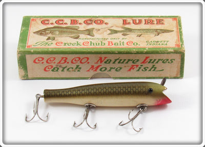 Creek Chub Greenback Darter With Factory Glass Bead Eyes In Box 2009