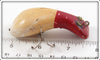 Paw Paw Red Head White Bull Frog