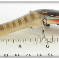 A. W. Saarimaa Brown Pike Fish Hawk