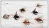 16 Flies In Divided Wing Flies Royal Coachman Box