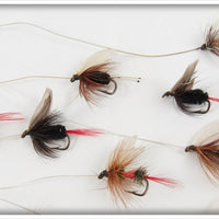 16 Flies In Divided Wing Flies Royal Coachman Box