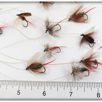 16 Flies In Divided Wing Flies Royal Coachman Box