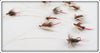 16 Flies In Divided Wing Flies Royal Coachman Box