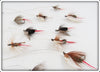 16 Flies In Divided Wing Flies Royal Coachman Box