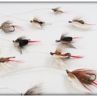 16 Flies In Divided Wing Flies Royal Coachman Box