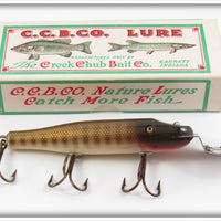 Creek Chub Pikie Scale DD Pikie In Fisherman Stamped White Border Box