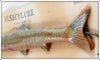 Shakespeare FishyLure 6515 Minnow On Card