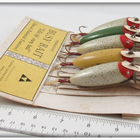 Florida Casting Bait Co. Pemberton's Busy Baits In Dealer Box