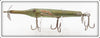 Creek Chub Green Gar Scale Gar Minnow 2920