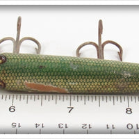 Creek Chub Green Gar Scale Gar Minnow 2920