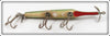 Creek Chub Green Gar Scale Gar Minnow 2920