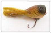 Vintage Creek Chub Golden Shiner Surface Dingbat Lure 5404