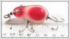 Creek Chub Red & White With Wings Tiny Tim 6426