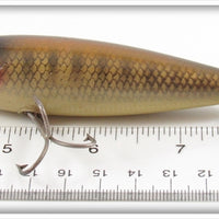 Paw Paw Pike Scale Surface Minnow