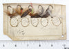 Winchester Or Simmons Lot Of Flies On Cards